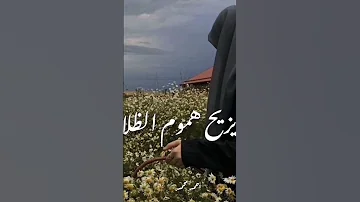 ايا وجه صبحا يبث الهيام ɴᴏ ᴍᴜꜱɪᴄ بدون موسيقي 