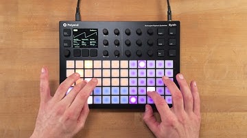 Polyend Synth Demo (no talking) with Factory Presets