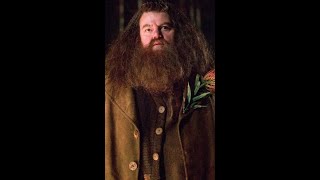 Robbie Coltrane, l’interprète d’Hagrid dans Harry Potter, est mort