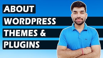 What is A Theme & Plugin in WordPress [Hindi]