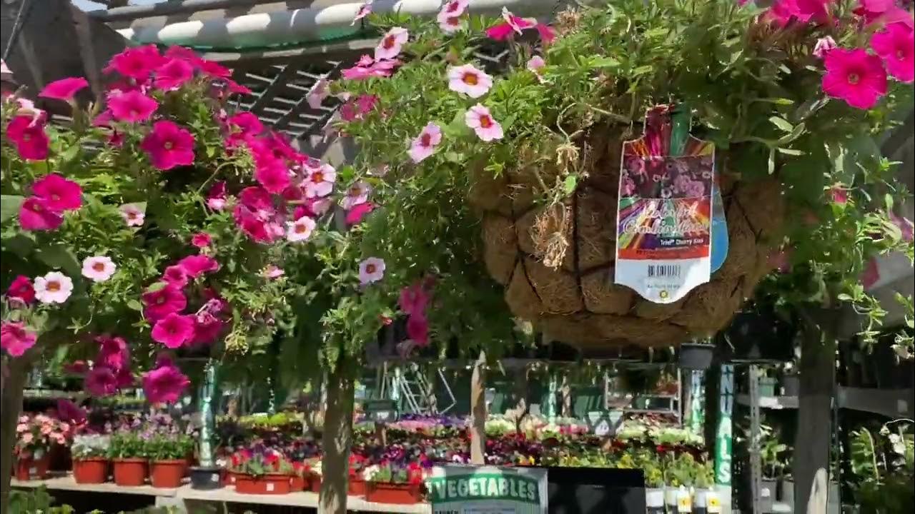 Menards Flower & Tree Summer 2023 Garden Care ️🌻🌺🌼🪴👌😘🍀shorts