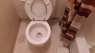 inodoro, toilet o tasa de baño drena lento o tapada