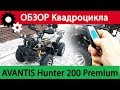 ОБЗОР КВАДРОЦИКЛА AVANTIS HUNTER 200 Premium. Достоинства и Недостатки.