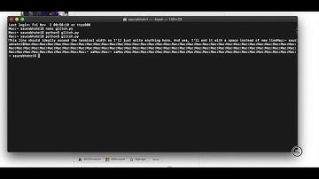macOS Terminal Standard Output Glitch Demo | macOS Mojave
