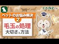 犬の毛玉の処理方法｜ワンちゃんのトリミング【お悩み解決Vol.2】