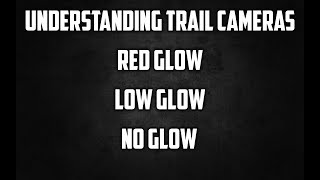 Trail Camera Types No Glow Vs. Low Glow Vs. Red Glow