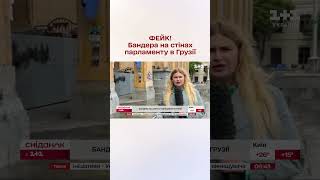 Портрети Бандери на стінах парламенту Грузії: фейки від російських ЗМІ