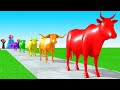 Paint Animals Cartoon Cow Yak Bison Bull Ox African Buffalo Fountain Crossing Animal Transformation