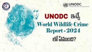 UNODC ఇచ్చే World Wildlife Crime Report - 2024 లో ఏముంది? #unodc #worldwide #animals #world