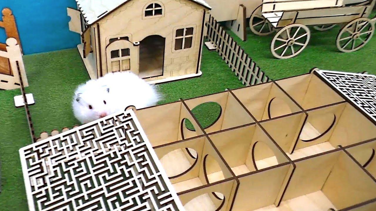 Лабинска готовый дом видео