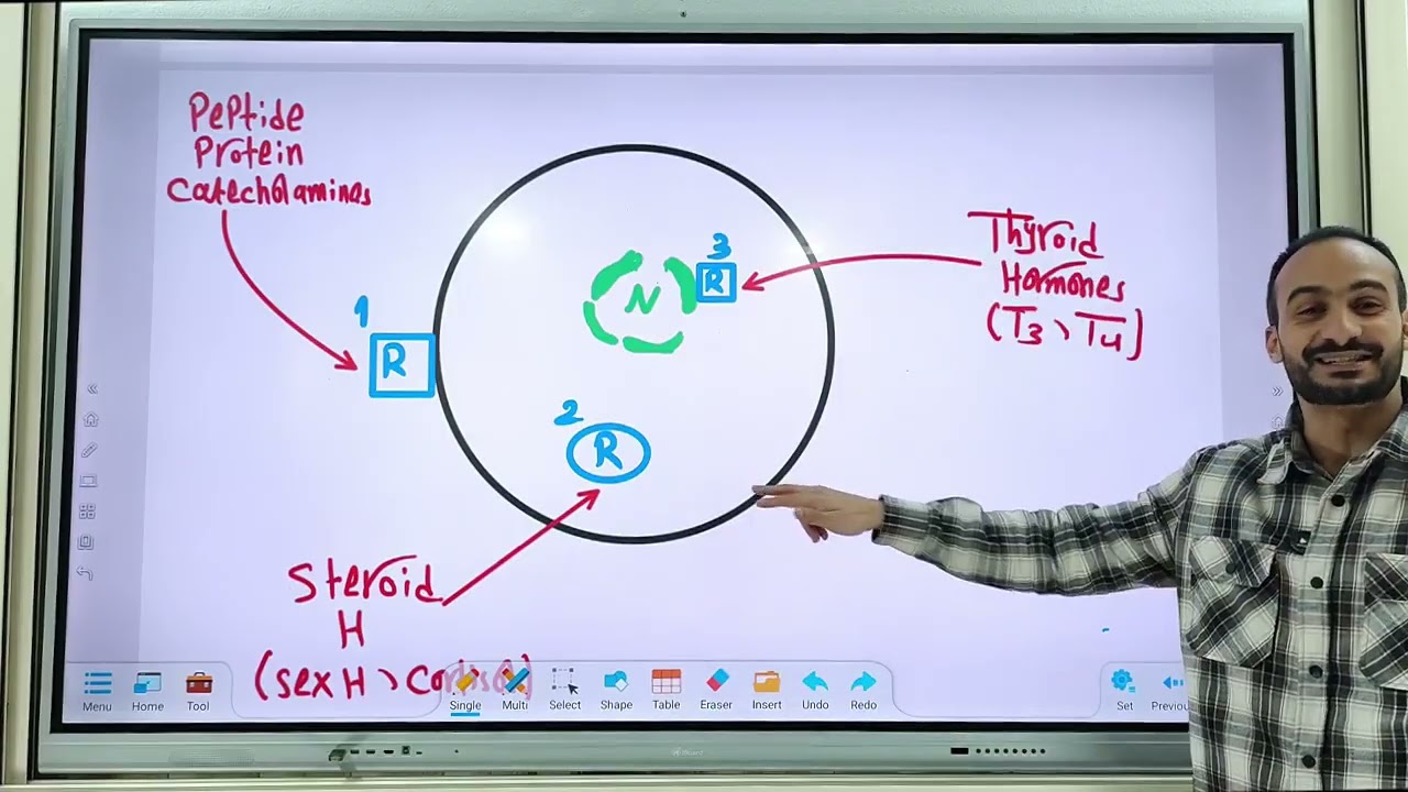 اول محاضرة في مادة physiology 2 شابتر endocrine مع دكتور محمد عفيفي