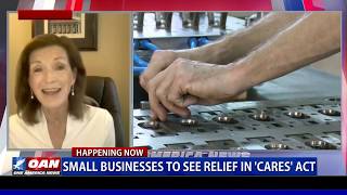 Small Business and Entrepreneurship Council discusses measures in CARES Act
