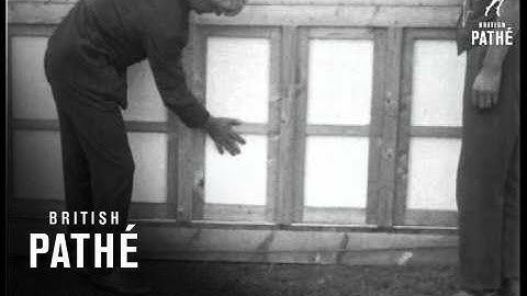 Europes First Greyhound Racing Track Aka Europe