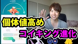 ポケモンgo 個体値高めのコイキングを進化させてみた ギャラドス Youtube