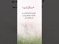beautiful words #islam #islamicvideo #muslimah #hadith #allah #allahuakbar #islamicknowledge