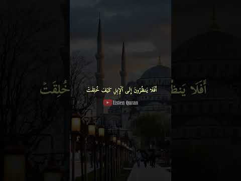 أتمنى أن تكون الآذان التي تسمع ذكر الله بصحة جيدة دائم ا القرآن الكريم