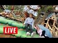 🔴 TOONTOWN and Roger Rabbits Ride LIVE !!! (time stamps)