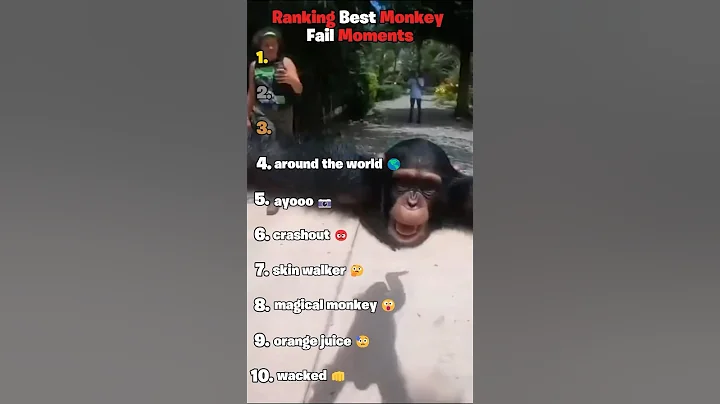 Ranking Best Monkey Fail Moments