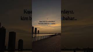 Ava Yaman - Karabulut