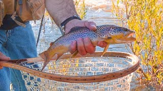 Fly Fishing the Boulder River in Big Timber, Montana  Day 1