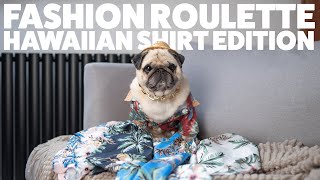 fashion roulette with Puggy Smalls