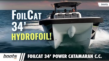 FoilCat: Amazing 34