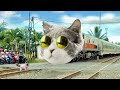 Ada Kereta Api Lucu Nih Gaes, Kepalanya Bisa Berubah Jadi Kucing wkwk 😁😄