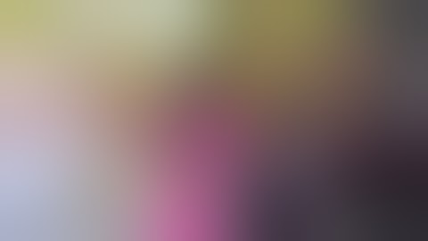 Hội Chợ Tết Đinh Dậu 2017 Tại Toronto