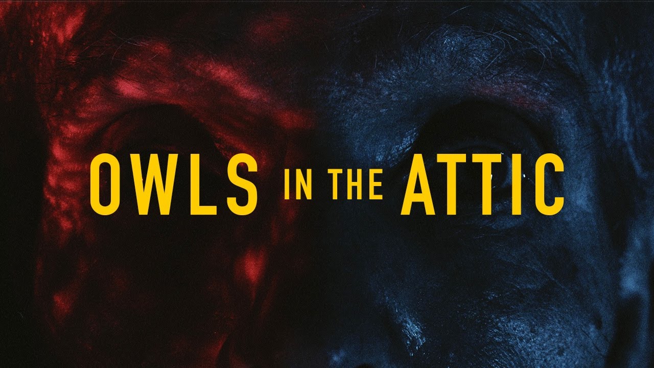 Owls in the Attic | Short Film - YouTube