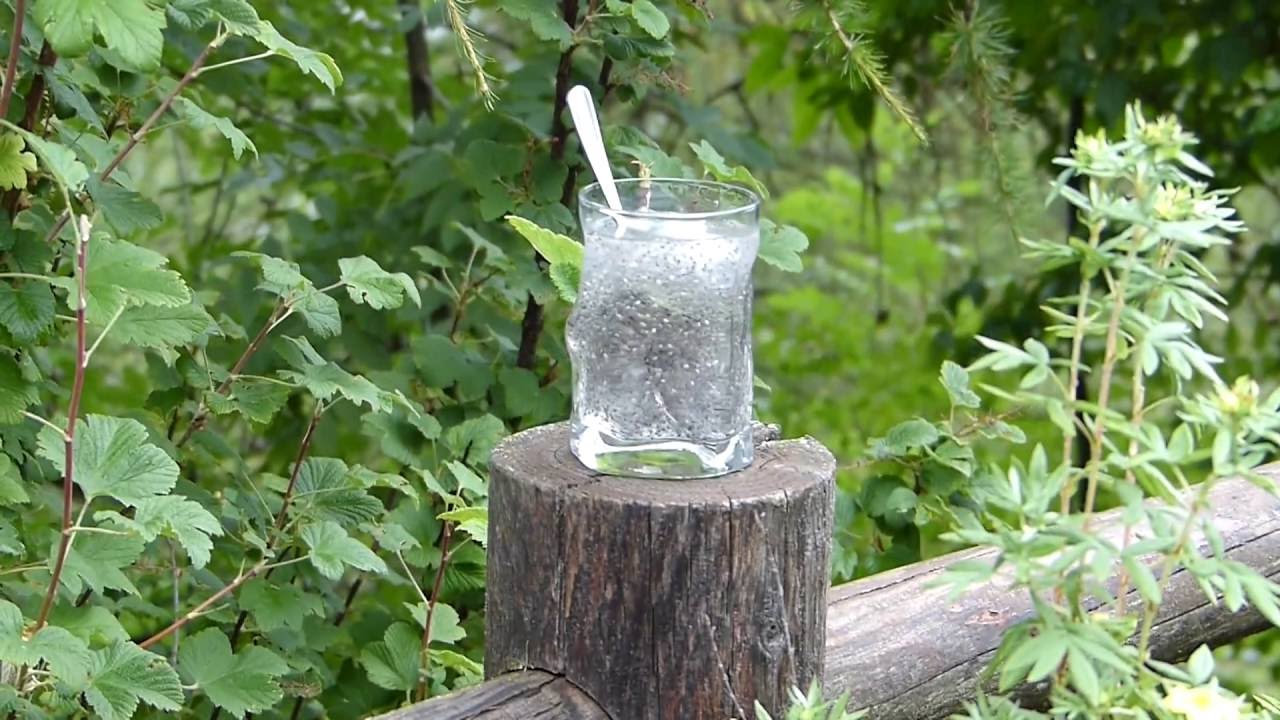 Boisson aux graines de Chia / Chia seed drink YouTube