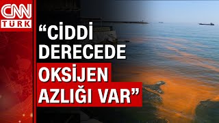 Deniz salyası azaldı fakat yeni tehlike kapıda!