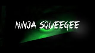 Become a superhero of professional window cleaning: Limited edition Ninja squeegee