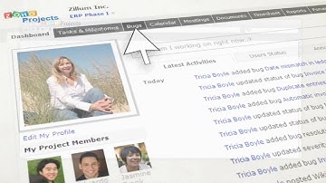 Zoho Projects integrates Bug Tracking System