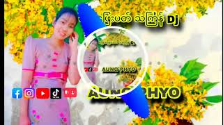 Myanmar Dj. သင်္ကြန် သချင်းလေ ဖြေးဖြေးပတ်....