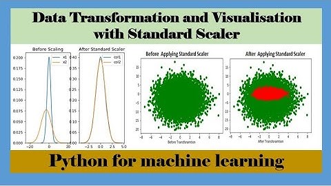 Data Transformation and Visualisation with Standard Scaler | Machine Learning