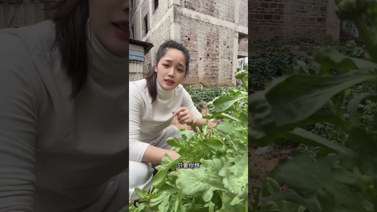 一个女的为什么会选择去跑货车，可能看完这个视频你们就知道我为什么会想着去跑车了#三农 #货运行业 #小陈 #货车司机 #运满满司机