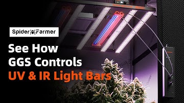 Effortless Supplemental Light Control with GGS Power Strip Kits | Spider Farmer | Smart Control