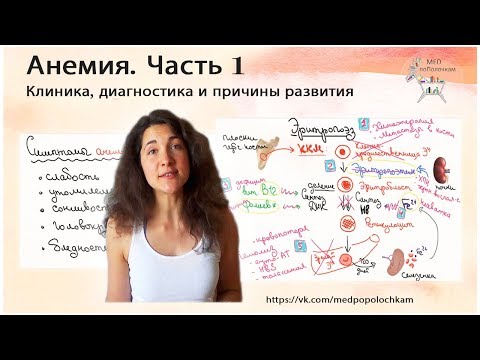 Бейне: Анемия - жаңа туған нәрестенің құлыны - Жылқының неонатальды изоэритролизі