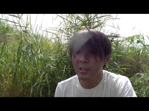 （カラオケ風）irodori no sanka　Kagrra, を歌ってみた