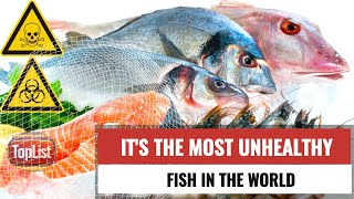 The Top 10 Most Harmful Fish to Avoid
