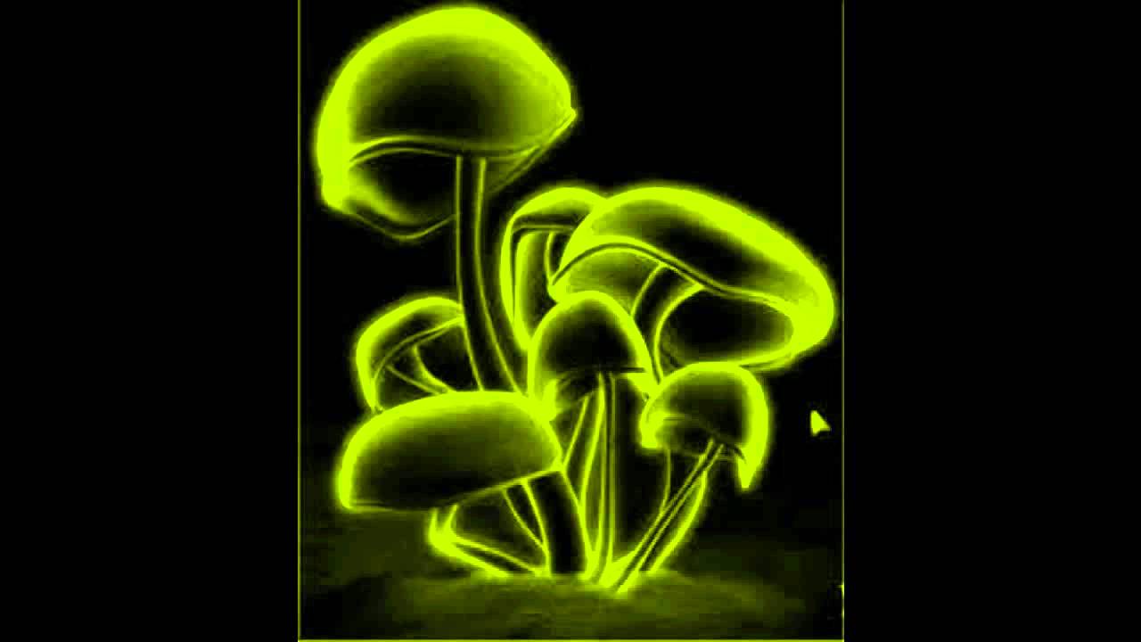 Tripstep - DJ ZdubeatZ