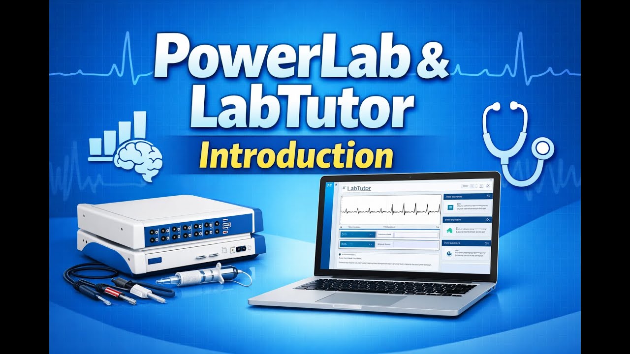 Введение в Power Lab и Lab Tutor | Основы физиологии и биомедицинских экспериментов