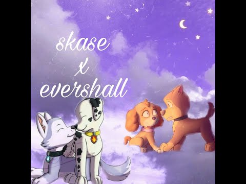 Skase vs evershall 💙🐾💖