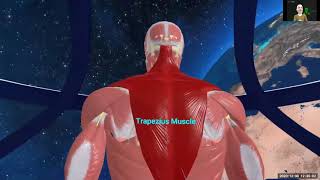 Anatomy Explorer 2020
