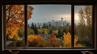 Relaxing Fall Rain In Seattle🍂🌧️Calm Rain Ambience For Reading, Sleeping, Etc.