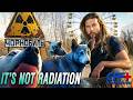 Why Are Chernobyl’s Dogs Turning Blue? thumbnail