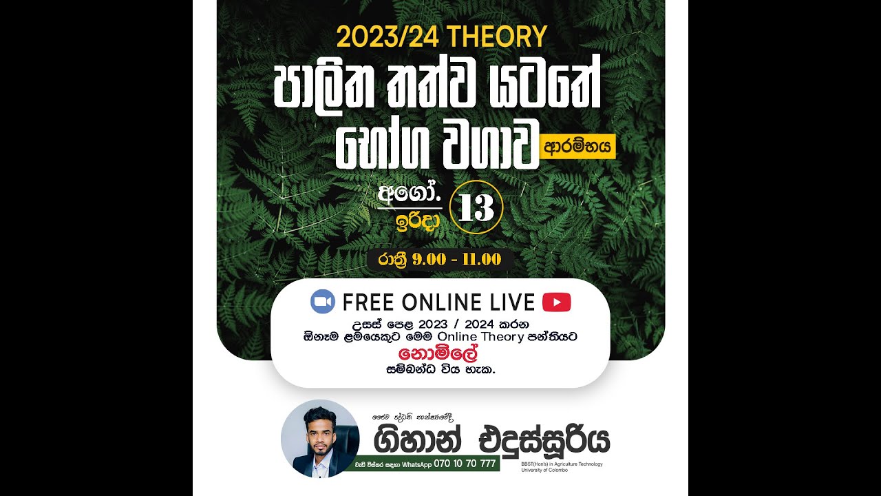 පාලිත තත්වයටතේ බෝගවගාව / Gihan Edussuriya