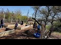 TSP Spring Workshop 2021 Raised Bed Project