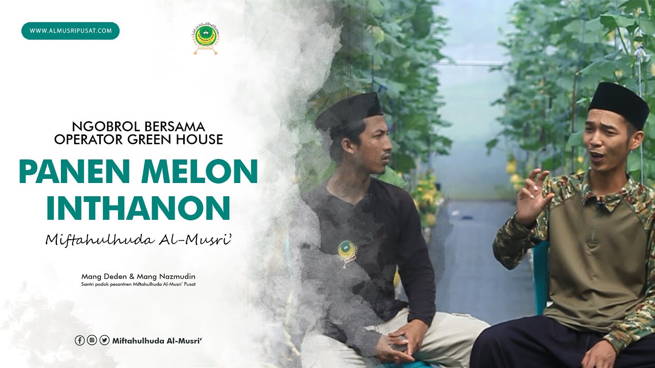 NGOBROL PANEN MELON INTHANON | GREEN HOUSE AL-MUSRI' | Mang Deden & Mang Nazmudin