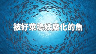 被好萊塢妖魔化的魚，海洋中最可怕的是這些 （我們一起聊科學：20231202 第27期）